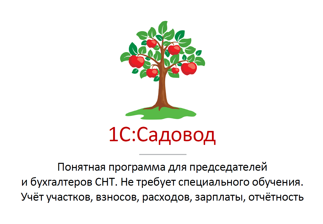1с_14